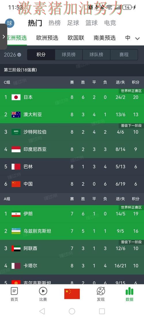 世界杯预选赛单场封神备受关注